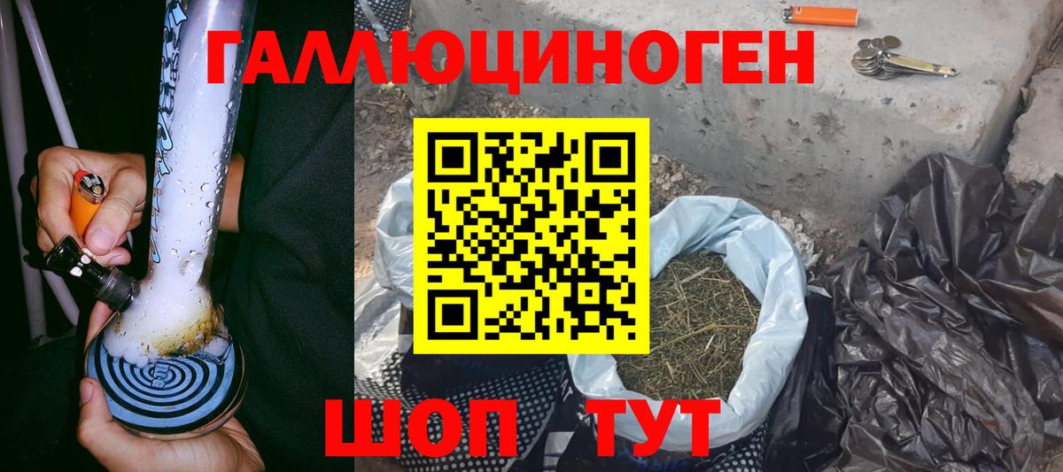 Владимир  Галлюциногенные грибы Cubensis  Вход с VPN 
