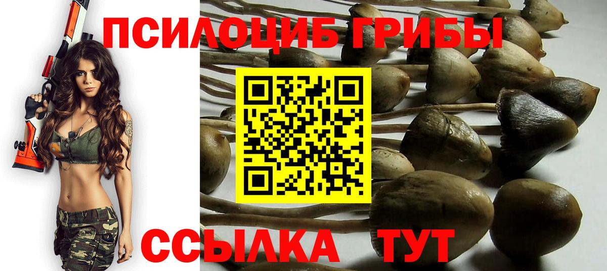 Псилоцибиновые грибы MAGIC MUSHROOMS Владимир