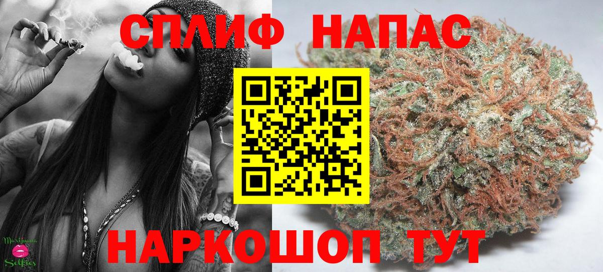 Владимир  Бошки Шишки ГИДРОПОН  Вход с VPN  Канабис White Widow  Конопля план 